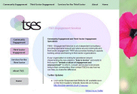 TSES is an independent consultancy providing specialist support and advice to both Public Sector and Third Sector Organisations.